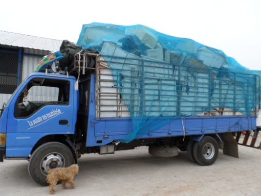 ด่วนๆเลยครับ ISUZU NQR ปี47 140 HP ยาว5.5เมตรเครื่องดีมาก แคซซีสวยไม่มีสนิม ไม่มีหัก