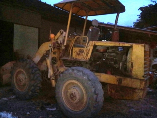 ขาย รถตักล้อยาง TCM