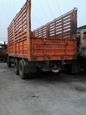 ขายฮีโน่ซูโม่227แม่-ลูก ขายฮีโน่ซูโม่227แม่-ลูก