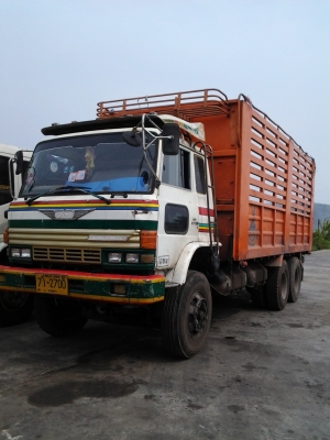 ขายฮีโน่ซูโม่227แม่-ลูก