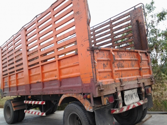 ขายฮีโน่ซูโม่227แม่-ลูก ขายฮีโน่ซูโม่227แม่-ลูก