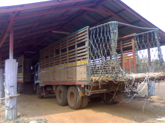 ขาย สิบล้อเพลาเดียว หัวเดก้า เครื่อง230 กะบะไม้สวยๆคับ