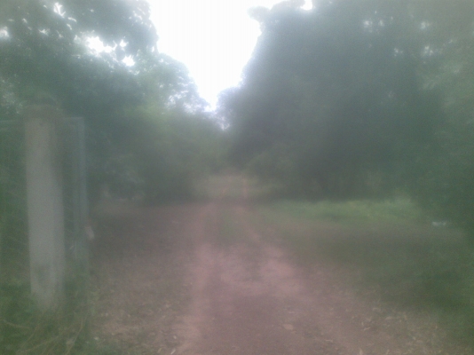 ขายที่ดิน