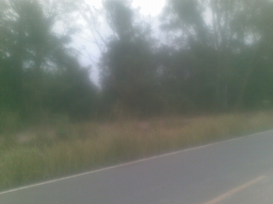 ขายที่ดิน