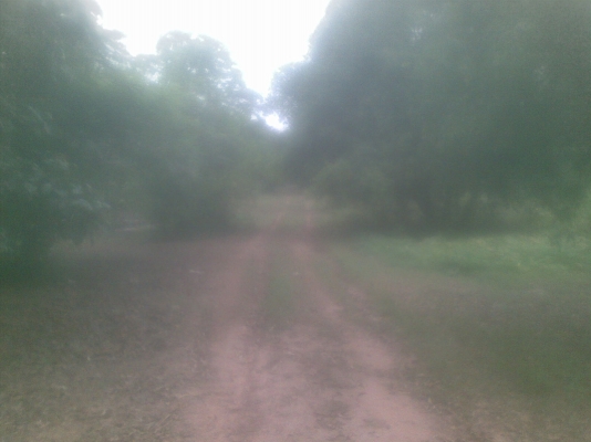 ขายที่ดิน