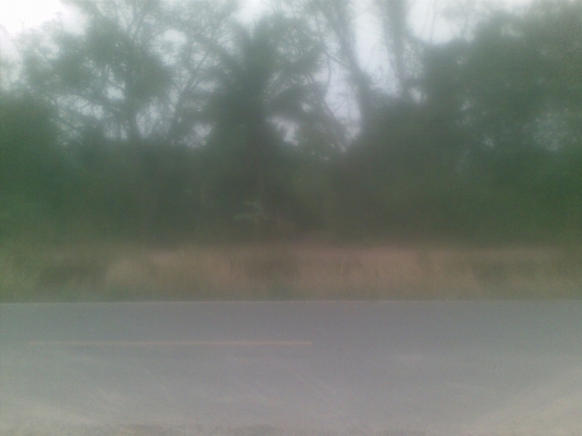 ขายที่ดิน