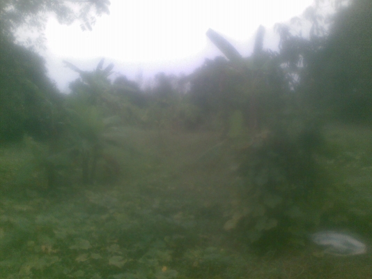 ขายที่ดิน