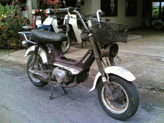 ขายชาลี(ม่วง)เครื่องดีพอใช้อะไหร่เดิมๆ Noเล่มออกใบซื้อขายขาย 9500 บาท