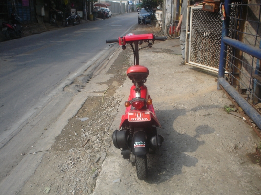 ZOOK  HONDA   สด  สวย  เครื่องดีมากๆ  สีสวยๆ 7500บาท