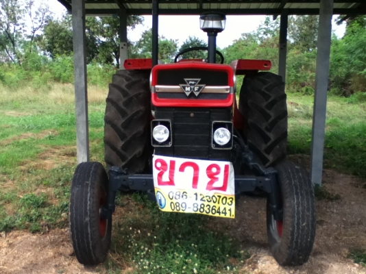 ขาย แมสซี่ 185 S