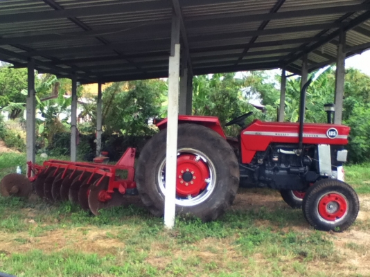 ขาย แมสซี่ 185 S