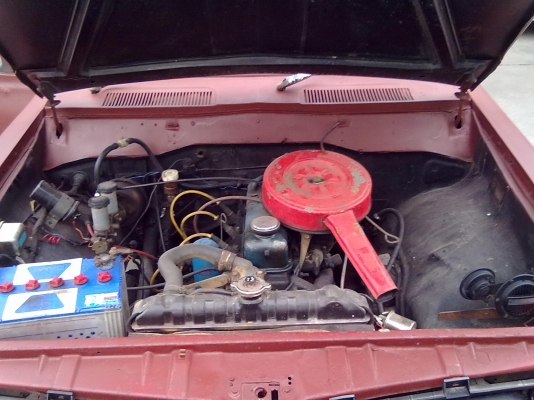 ช้างเหยียบแต่แล้ววว