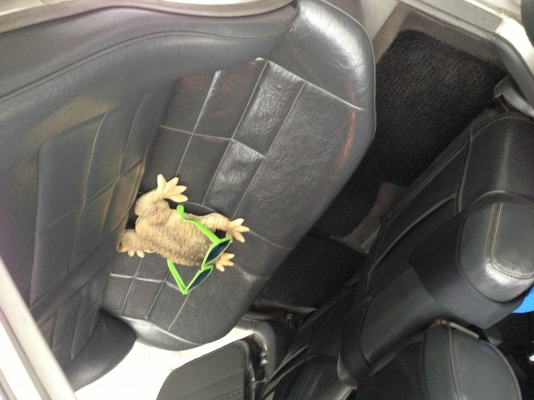 SUNNY. FF. สภาพเยี่ยมครับ. ปี. 93 SUNNY. FF. สภาพเยี่ยมครับ. ปี. 93