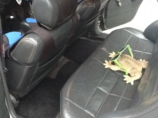 รถสวยสภาพดีครับลองลงขายดู  63000