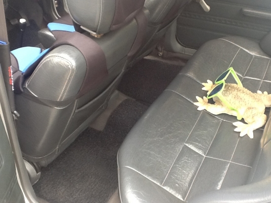 เพิ่มรูปให้ดูใหม่ครับ เพิ่มรูปให้ดูใหม่ครับ