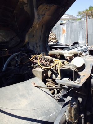 ฟรีดาว หัวลากฟูโซปี52