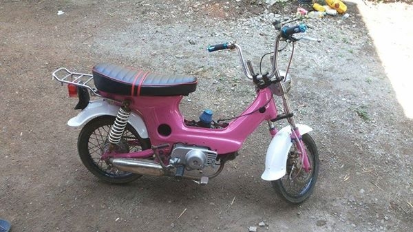 ชาลีสีชมพู ราคา8000 ถูกๆครับ ด่วนๆ รถซื้อกับข้าว เด็กขี่ได้ผู้ใหญ่ขี่ดี ชาลีสีชมพู ราคา8000 ถูกๆครับ ด่วนๆ รถซื้อกับข้าว เด็กขี่ได้ผู้ใหญ่ขี่ดี