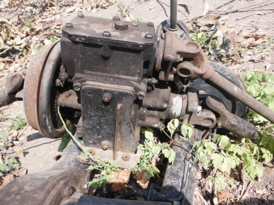 คาน คาริบเบียน+สโลว 650