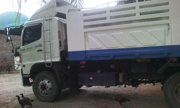 รถฮีโน่ 10 ล้อดั้ม 380 แรงม้า. ปี 54  ( รถวิ่ง 2x,xxx กม. )   สนใจติดต่อ  081 - 6079515