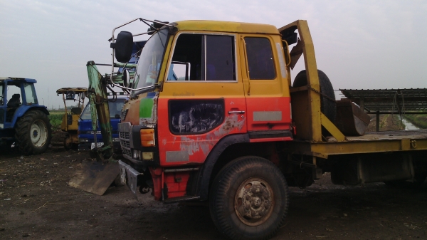 ขายหัวสามใบปัด