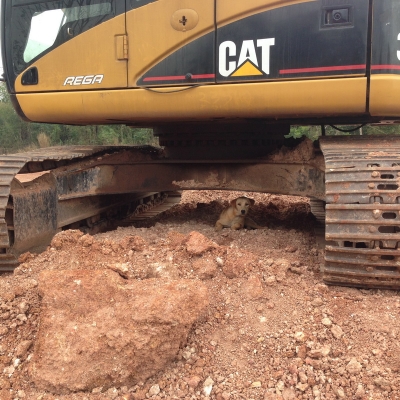 ฝากขายครับ รถแบคโฮ CATTERPILLAR 320 CLU  รถนอกนำเข้า