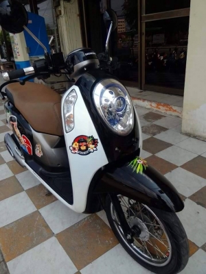 All New Scoopy i ปี 2556 รุ่นใหม่ล่าสุด ลายใหม่ Monkey DO รถสวยมากมาย ได้ไปคุ้มแน่นอน