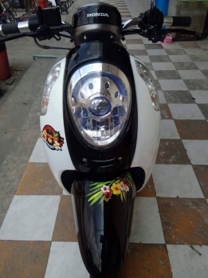All New Scoopy i ปี 2556 รุ่นใหม่ล่าสุด ลายใหม่ Monkey DO รถสวยมากมาย ได้ไปคุ้มแน่นอน