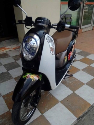 All New Scoopy i ปี 2556 รุ่นใหม่ล่าสุด ลายใหม่ Monkey DO รถสวยมากมาย ได้ไปคุ้มแน่นอน