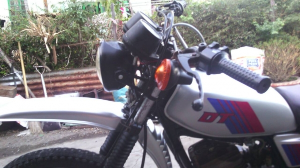 DT 125 เนื้อดีพิมพ์นิยม