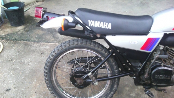 DT 125 เนื้อดีพิมพ์นิยม