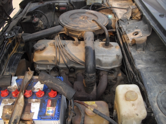 ม้าสด้าแฟมิเลี่ย