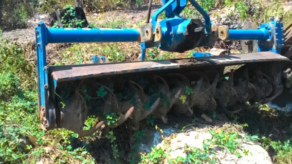 โลตาลี่1เมตร90ครับ