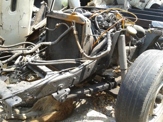 TOYOTA DYNA 115 สวยๆใหม่ๆจากญี่ปุ่นอินวอย+ ทะเบียนไม่ติดเวลา กะบะลอย แชสซีใหญ่ๆ เครื่อง 3L 2800 สภาพสวยๆเดิมๆจากญี่ปุ่น -มี 2 คัน