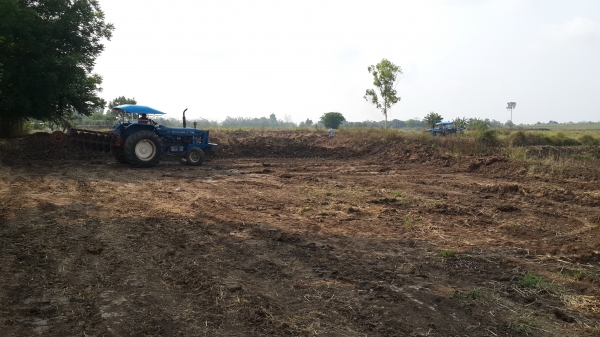 ขายรถไถ Ford 77 ท้าย 6600 สภาพดี มีเล่มทะเบียน ขายรถไถ Ford 77 ท้าย 6600 สภาพดี มีเล่มทะเบียน