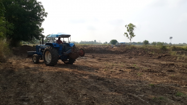 ขายรถไถ Ford 77 ท้าย 6600 สภาพดี มีเล่มทะเบียน ขายรถไถ Ford 77 ท้าย 6600 สภาพดี มีเล่มทะเบียน