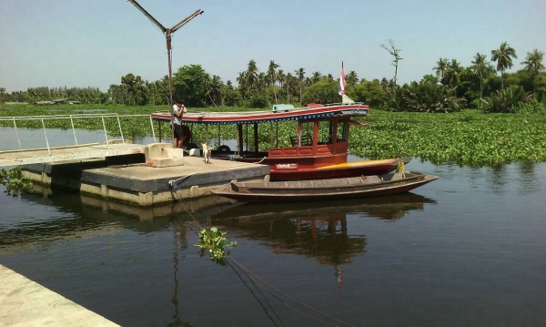 ขายเรือ แทกซี่