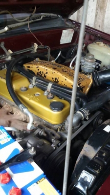 รถปิ๊กอัพ อีซูซุ TFR