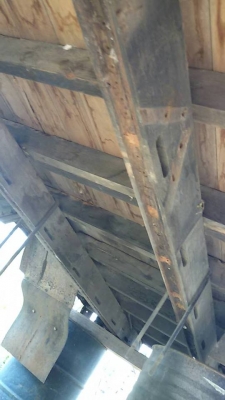 ขายด่วนกระบะ NKR พร้อมหลังคา ราคาถูกๆ ขายด่วนกระบะ NKR พร้อมหลังคา ราคาถูกๆ