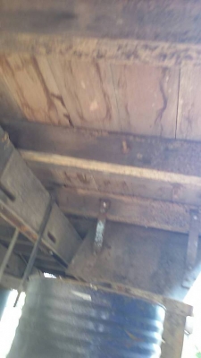 ขายด่วนกระบะ NKR พร้อมหลังคา ราคาถูกๆ ขายด่วนกระบะ NKR พร้อมหลังคา ราคาถูกๆ