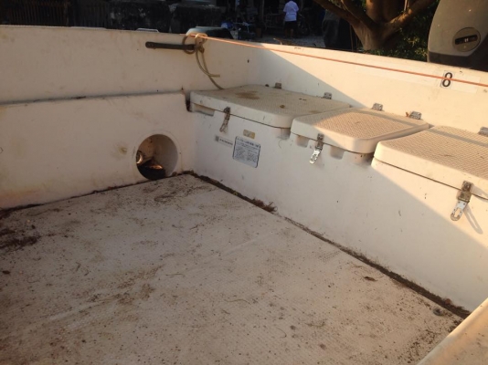 ขายเรือ Yamaha Sunfriend 20 ฟุต