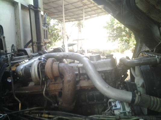 ขายเฉินหลงเทอร์โบยูโรวันปี46MMTFN527ET600631