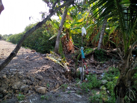 ขายที่ดินติดกับที่ของ แมสซี่ เจ ชนาธิป สงกระสินธุ์ ถมไว้ปลูกบ้าน