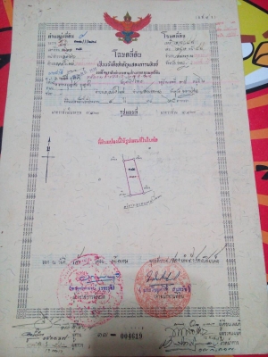 ขายที่ดินติดกับที่ของ แมสซี่ เจ ชนาธิป สงกระสินธุ์ ถมไว้ปลูกบ้าน