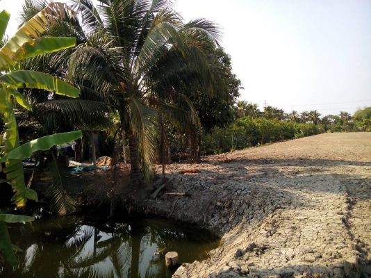 ขายที่ดินติดกับที่ของ แมสซี่ เจ ชนาธิป สงกระสินธุ์ ถมไว้ปลูกบ้าน