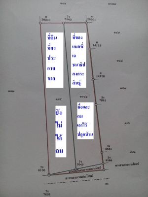 ขายที่ดินติดกับที่ของ แมสซี่ เจ ชนาธิป สงกระสินธุ์ ถมไว้ปลูกบ้าน