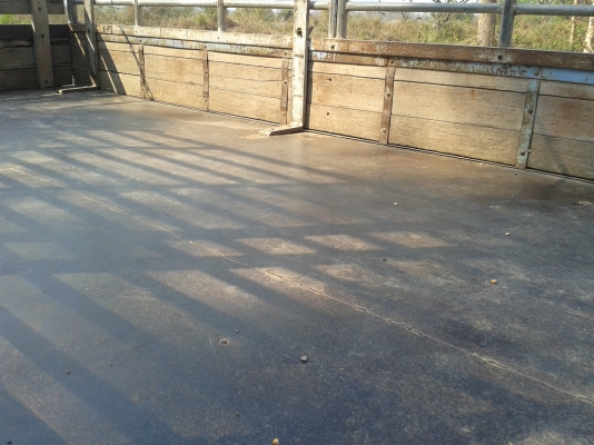 ขาย 6ล้อ NPR ปี 39 หัวการ์ตูน  430,000 กระบะยาว 4.5 เมตร