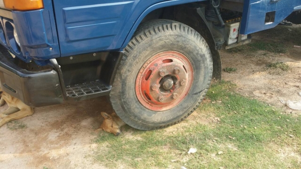 ขายด่วน TOYOTA DYNA 350 สามใบปัด BU 91 229,000 บาท