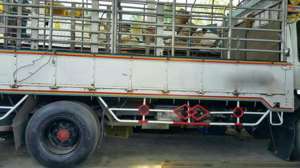 รถฮีโน่ 6 ล้อ หลังถนน 195 แรงม้า. ปี 38 ( รถประกอบ. )    สนใจติดต่อ  081 - 6079515