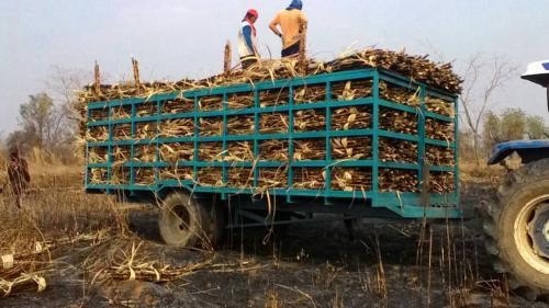 ขายพ่วงบรรทุกอ้อยรถไถ