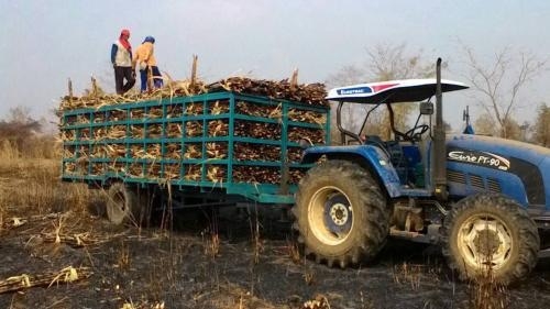 ขายพ่วงบรรทุกอ้อยรถไถ